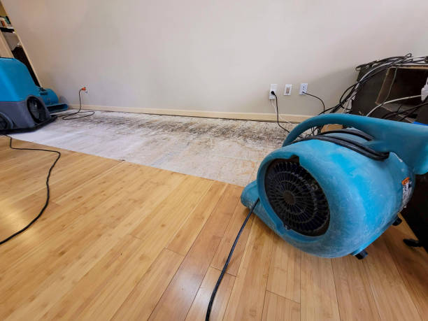 Professional Water Extraction technician working in Sandy, UT